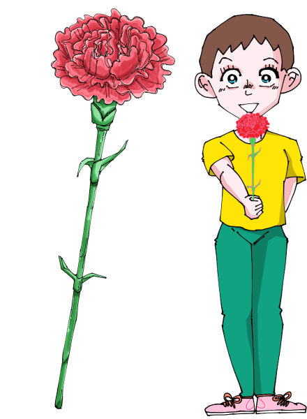 カーネーションのイラスト