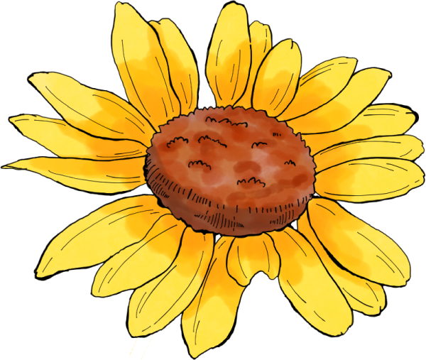 ヒマワリのイラスト