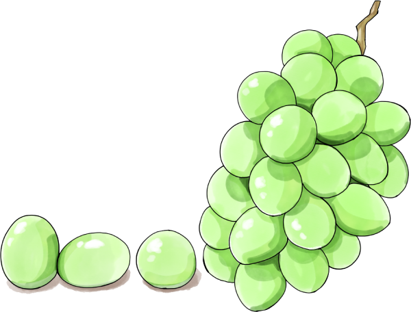 シャインマスカットのイラスト