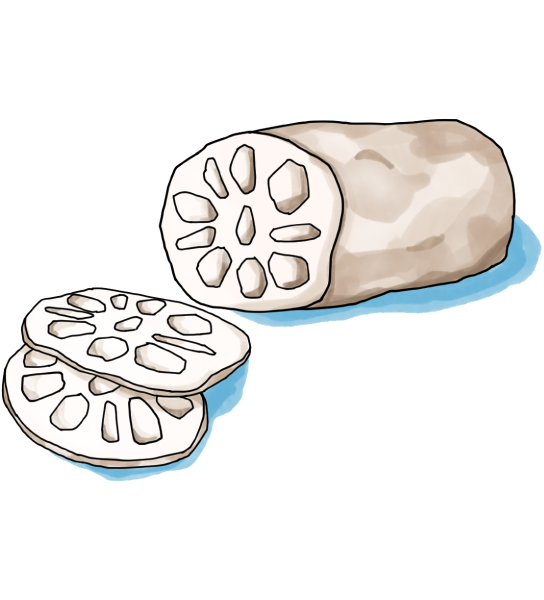 レンコンのイラスト