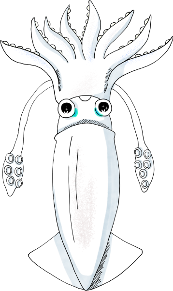イカのイラスト
