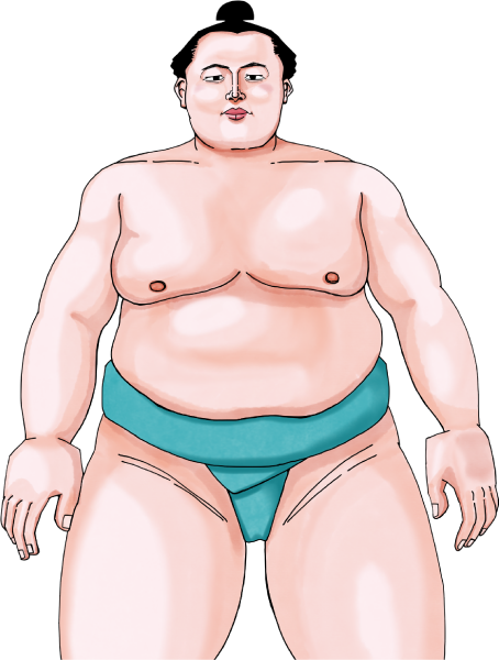 琴勝峰関のイラスト